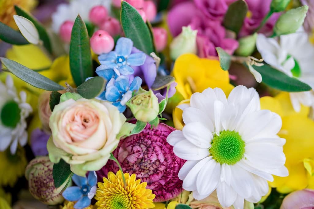 Bunter Brautstrauß mit Gänseblümchen, Rosen und blauen Blüten, Nahaufnahme