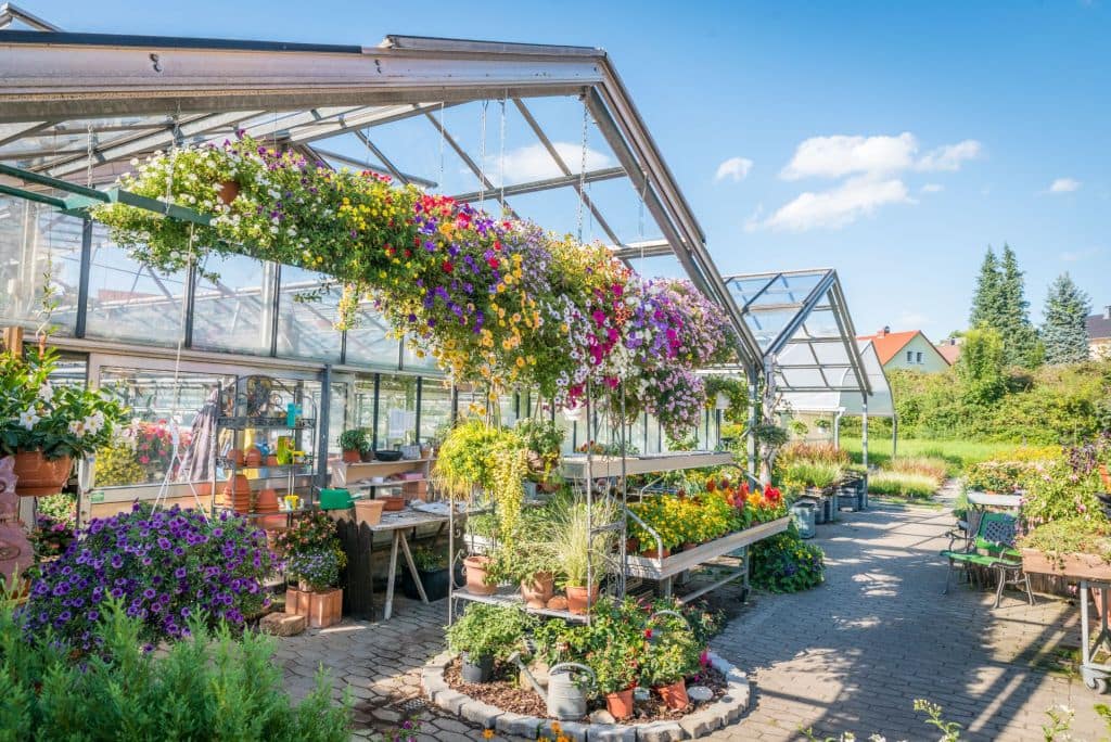 Gewächshaus mit hängenden Blumenampeln und bunter Pflanzenauswahl im Freien