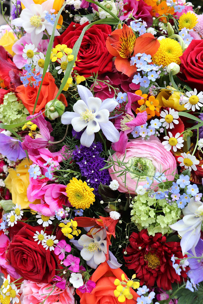 Bunte Sargauflage mit roten und gelben Rosen, Nahaufnahme