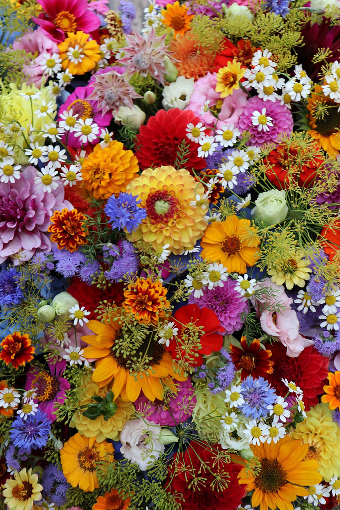 Buntes Trauergesteck mit Zinnien und Dahlien